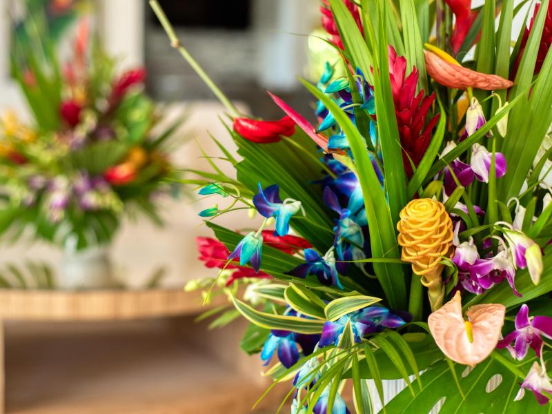 Trinity , Montego Bay , Tryall 