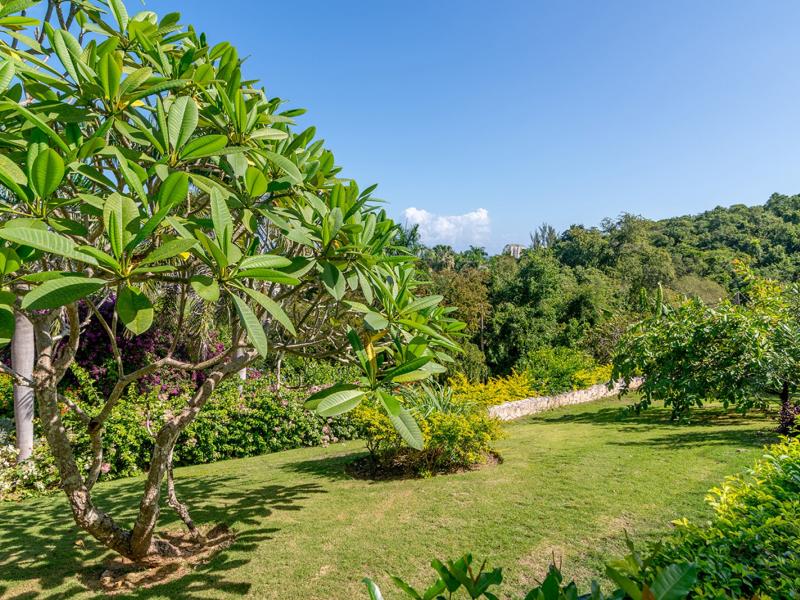 Fairway Manor , Montego Bay 