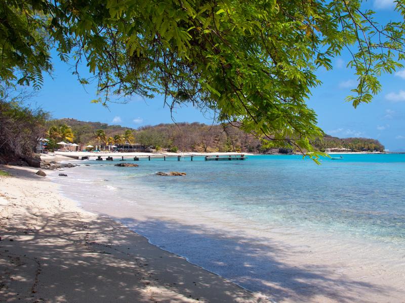 Rocina , Endeavour Bay 