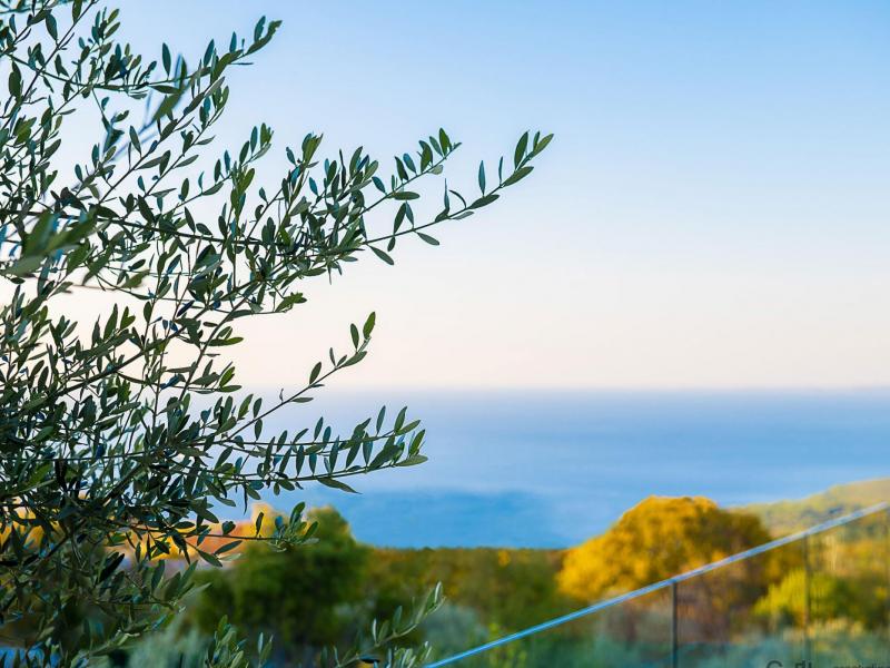 Villa Panoramica Istra , Istria 