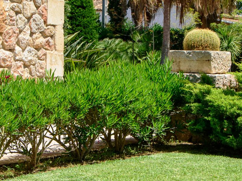 Villa Xanet , Alcudia Area 