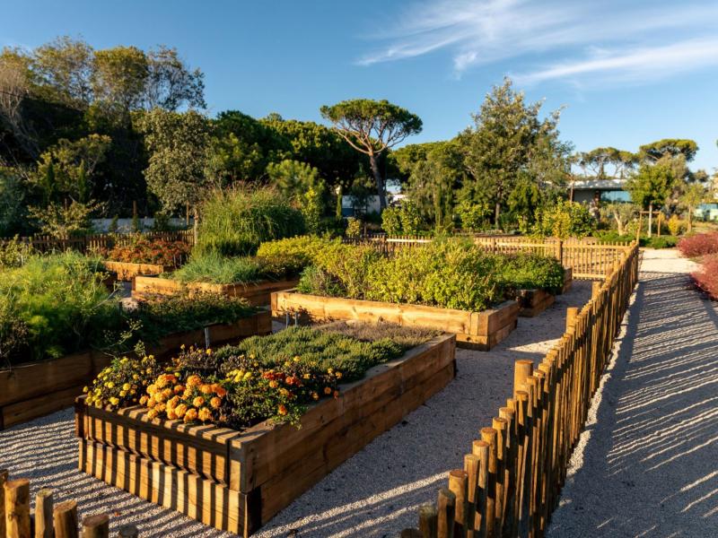 Villa Segurelha , Algarve , Vale do Garrao 