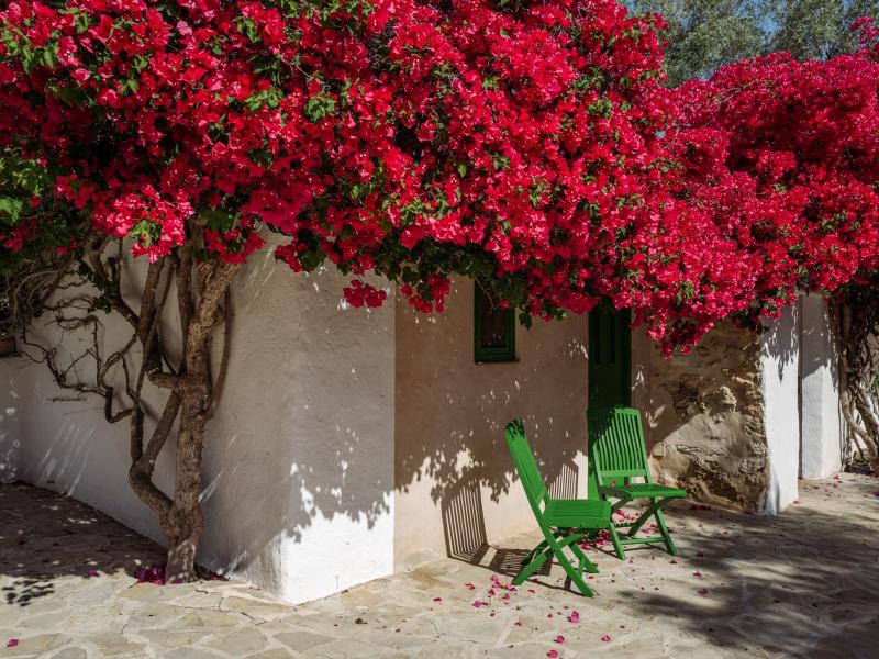 Can Xarraca , Portinatx 