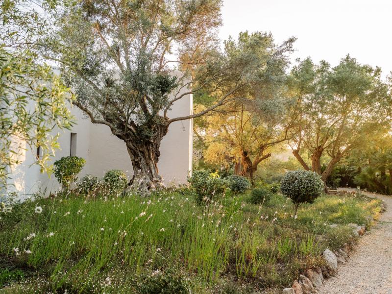 Can Xarraca , Portinatx 