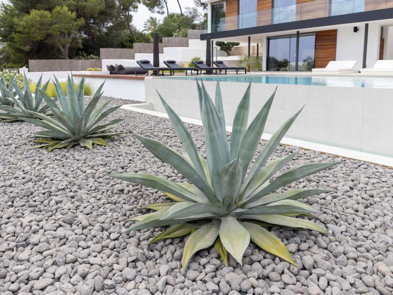 Villa Mila , Ibiza 