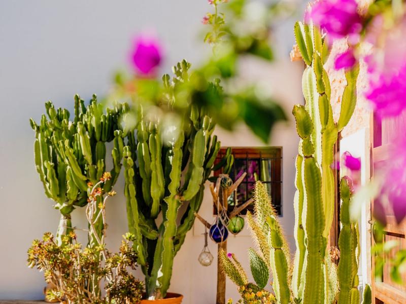 Villa Para , San Antonio 