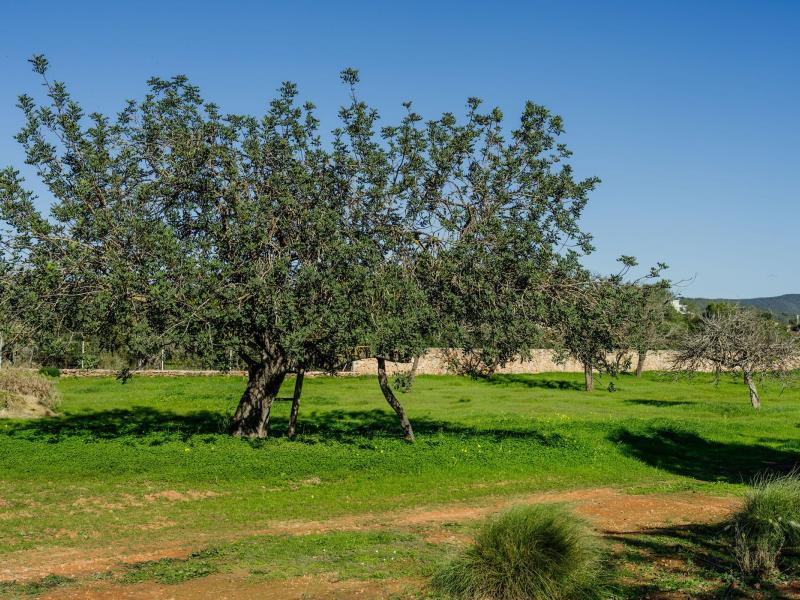 Villa Para , San Antonio 