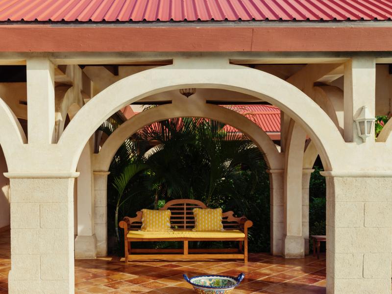 Helianthus , Mount Pleasant 