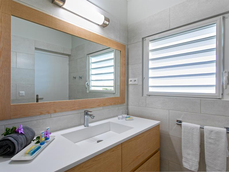 Falaise des Oiseaux , Terres Basses 