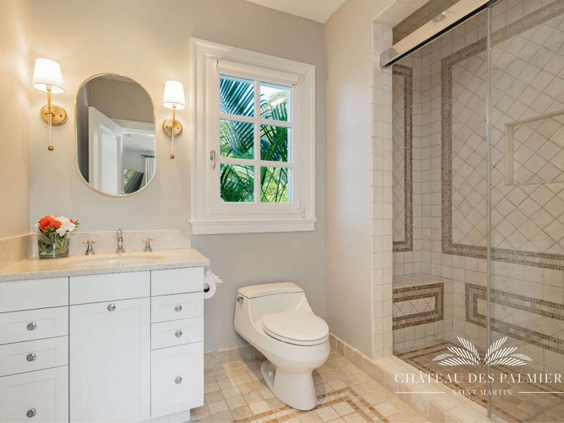 Le Chateau des Palmiers , Terres Basses 