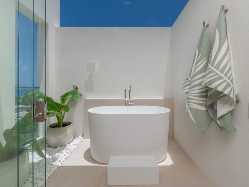 Monkey Ridge , St James , West Coast Barbados 