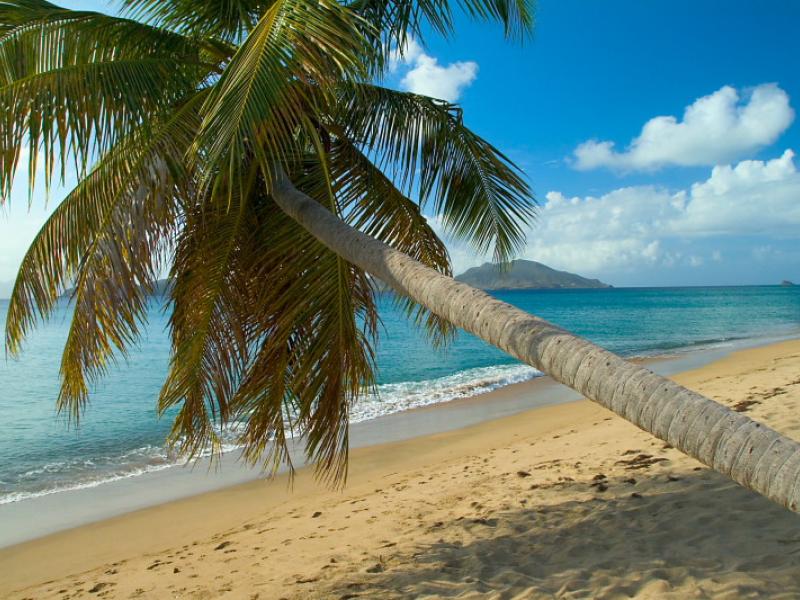 Montpelier Plantation , Nevis 