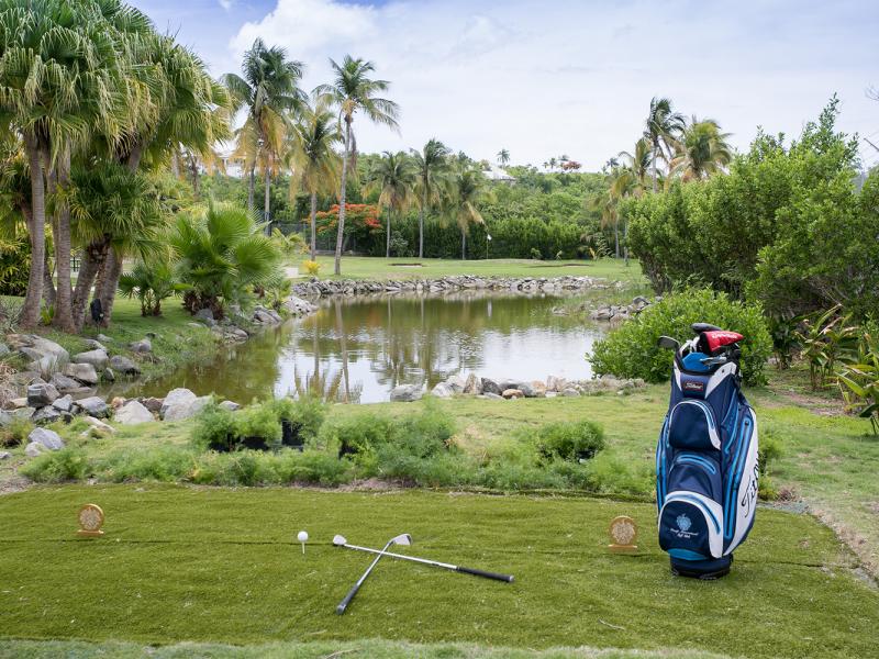 Le Chateau des Palmiers , Terres Basses 