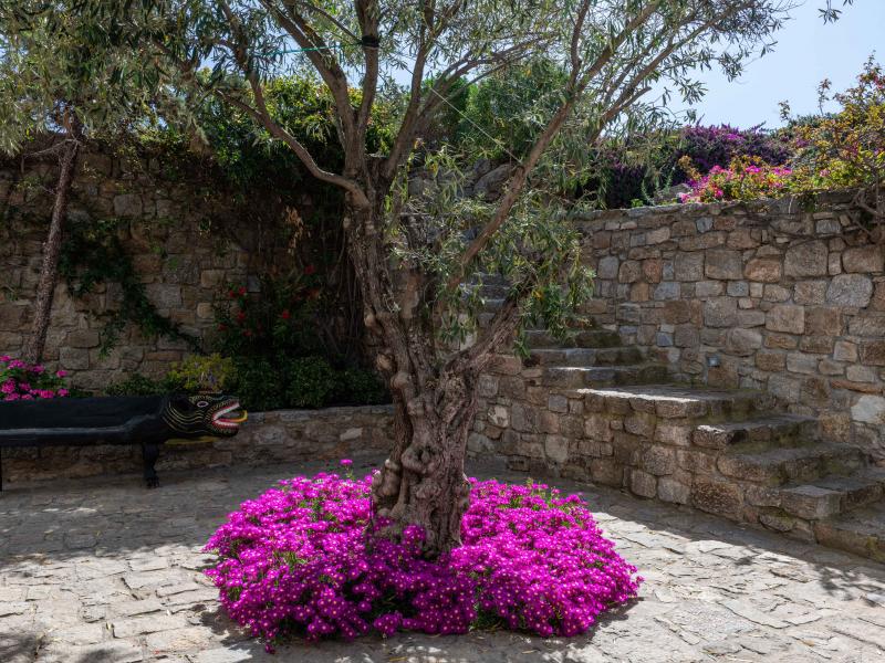 Villa Aegean Sundance , Mykonos 