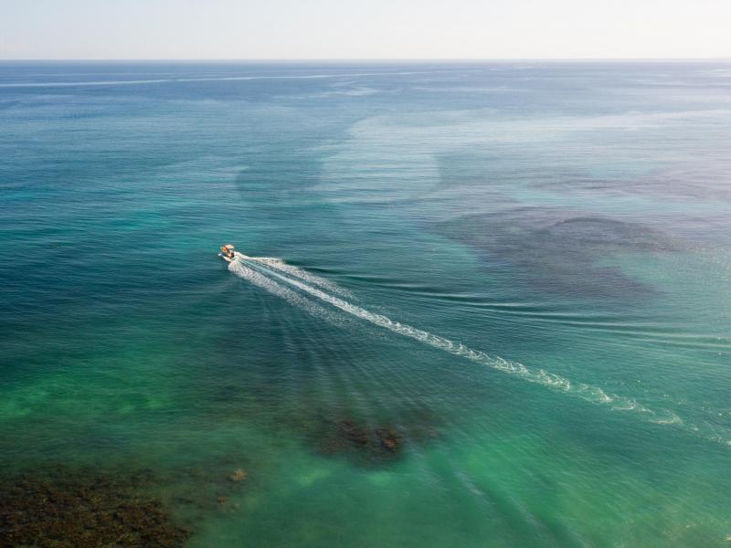 Jamaican Me Happy , Montego Bay , Tryall 