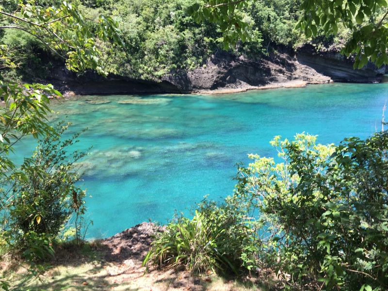 Villa Susanna , Marigot Bay 