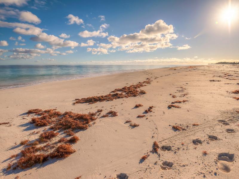 Eleuthera 4 , Eleuthera 