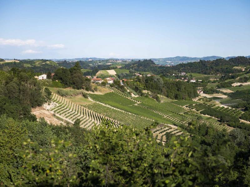 Casa Clara , Piedmont 