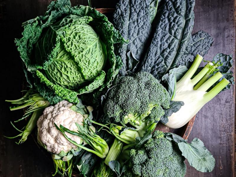 Villa Carolina , Tuscany 