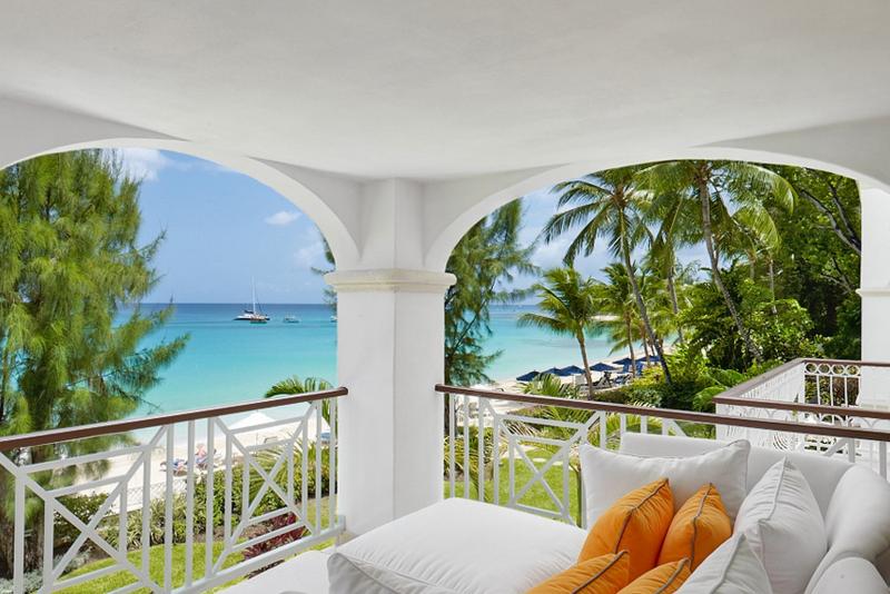 Old Trees 6 - Firefly